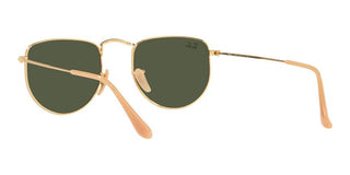Ray-Ban ELON RB 3958 unisex Gold Geometric Sunglasses