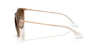 Ray-Ban Rubber ERIKA RB 4171 women Brown Round Sunglasses