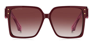 Etro ETRO 0104/S women Violet Oversize Sunglasses