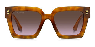 Etro ETRO 0113/S women Havana Butterfly Sunglasses