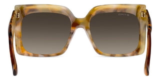 Etro ETRO 0117/S women Havana Butterfly Sunglasses