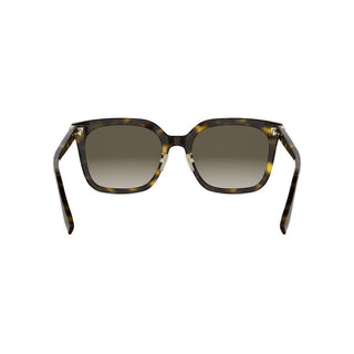 FENDI Forever Fendi FE40207F women Havana Butterfly Sunglasses