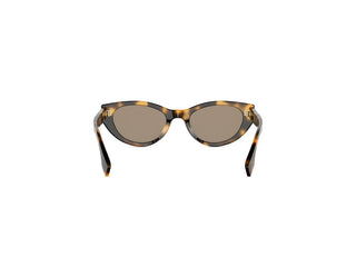FENDI Lettering FE40209I women Havana Cat Eye Sunglasses