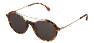 Lozza FIRENZE 31 SL4227 unisex Havana Round Sunglasses