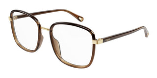 Chloé FRANKY CH0034O women Brown Squared Eyeglasses