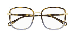Chloé FRANKY CH0034O women Havana Squared Eyeglasses