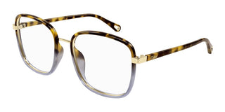 Chloé FRANKY CH0034O women Havana Squared Eyeglasses