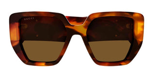 Gucci Gg0956s Women Havana Geometric Sunglasses