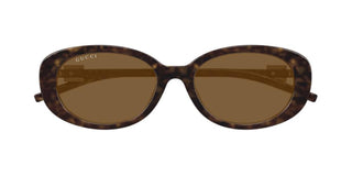 Gucci Gg1684sa Women Havana Round Sunglasses