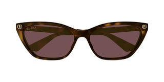 Gucci GG1815S women Havana Cat Eye Sunglasses