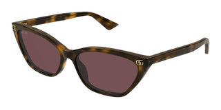 Gucci GG1815S women Havana Cat Eye Sunglasses
