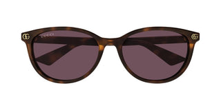Gucci GG1818SK women Havana Round Sunglasses