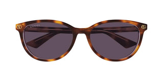 Gucci GG1818SK women Havana Round Sunglasses