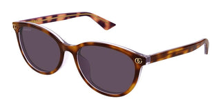 Gucci GG1818SK women Havana Round Sunglasses
