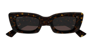 Gucci Gg1827s Women Havana Cat Eye Sunglasses