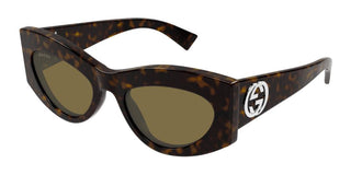 Gucci Gg1843s Women Havana Cat Eye Sunglasses