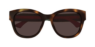 Gucci Gg1866sk Women Havana Butterfly Sunglasses