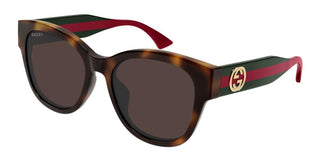 Gucci Gg1866sk Women Havana Butterfly Sunglasses