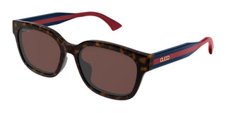 Gucci Gg1872sk Men Havana Squared Sunglasses