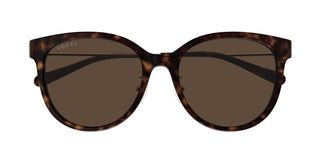 Gucci Gg1883sk Women Havana Round Sunglasses