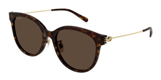 Gucci Gg1883sk Women Havana Round Sunglasses