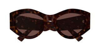 Gucci GG1951S women Havana Geometric Sunglasses