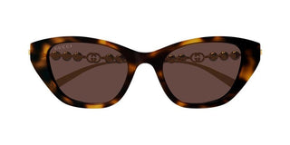 Gucci GG1968S women Havana Cat Eye Sunglasses
