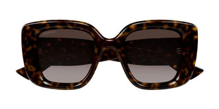 Gucci GG1975S women Havana Butterfly Sunglasses