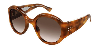 Gucci GG2014S women Havana Round Sunglasses