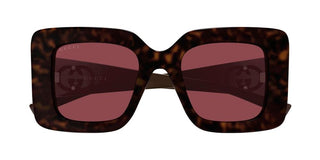 Gucci GG2025S women Havana Squared Sunglasses