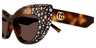 Gucci GG2031S women Havana Cat Eye Sunglasses