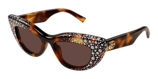 Gucci GG2031S women Havana Cat Eye Sunglasses