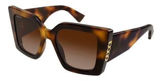 Gucci GG2039S women Havana Butterfly Sunglasses
