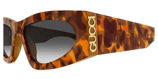 Gucci Gg2040s Women Havana Cat Eye Sunglasses