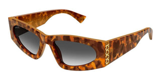 Gucci Gg2040s Women Havana Cat Eye Sunglasses