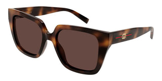 Gucci GG2102S women Havana Butterfly Sunglasses