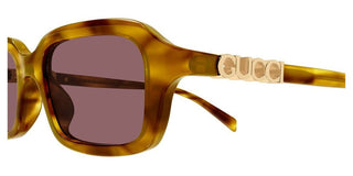 Gucci GG2152S women Havana Squared Sunglasses