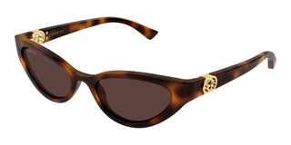 Gucci GG2194S women Havana Cat Eye Sunglasses