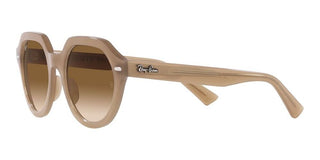 Ray-Ban GINA RB 4399 unisex Brown Geometric Sunglasses