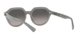 Ray-Ban GINA RB 4399 unisex Grey Geometric Sunglasses