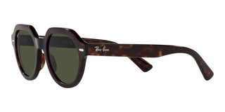 Ray-Ban GINA RB 4399 unisex Brown Geometric Sunglasses