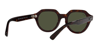 Ray-Ban GINA RB 4399 unisex Brown Geometric Sunglasses