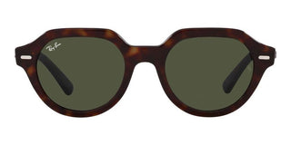 Ray-Ban GINA RB 4399 unisex Brown Geometric Sunglasses