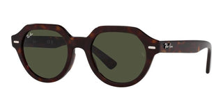 Ray-Ban GINA RB 4399 unisex Brown Geometric Sunglasses