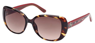 Guess GU7822 women Havana Butterfly Sunglasses