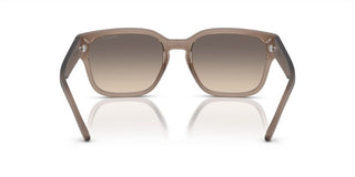 Arnette HAMIE AN 4325 men Brown Squared Sunglasses