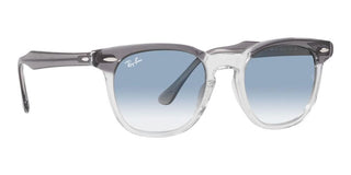 Ray-Ban HAWKEYE RB 2298 unisex Grey Squared Sunglasses