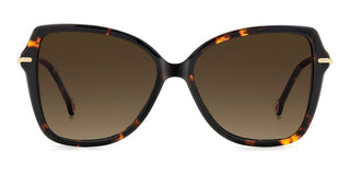 Carolina Herrera Her 0302/s Women Havana Butterfly Sunglasses