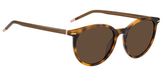 Hugo HG 1173/S women Havana Round Sunglasses