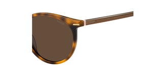 Hugo HG 1173/S women Havana Round Sunglasses